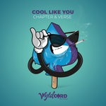 cover: Chapter & Verse - Cool Like You