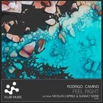 cover: Rodrigo Camino - Feel Right