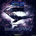 cover: Dsurr - Bird Of Prey