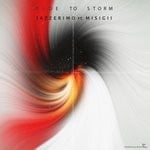 cover: Jazzerimo|Misigii - Ride The Storm