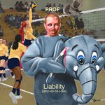 cover: Prof - Liability (Instrumental Version)