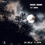 cover: Sasha Sound - Full Moon