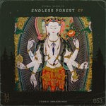 cover: Zuma Dionys - Endless Forest