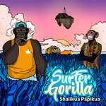 cover: Surfer Gorilla - Shalikua Papikua (Explicit)