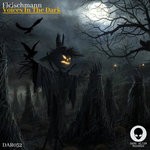 cover: Fleischmann - Voices In The Dark