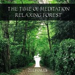 cover: The Time Of Meditation - Relaxing Forest