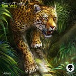 cover: Nemeti Tivadar - Run Away