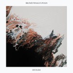 cover: Bronze Whale - Devilish