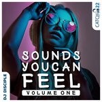 cover: Dj Disciple - Sounds You Can Feel