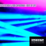 cover: Alex Petrov & Rob Capadonna - Beat Of Life