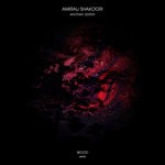 cover: Amirali Shakoori - Another Destiny