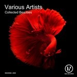 cover: Various - Collected Beauties Vol 3