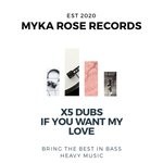 cover: X5 Dubs - If You Want My Love