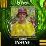 cover: Dj Kaz Bw - Insane