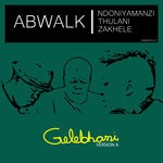 cover: Thulani|Ndoniyamanzi|Zakhele - Gelebhani