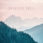 cover: Way Way Up - Mountain Swell