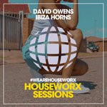 cover: David Owens - Ibiza Horns