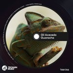 cover: Gil Acevedo - Guaracha