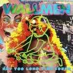 cover: The Wallmen - Not Too Long Time Sound