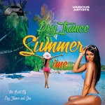 cover: Various - Summer Psy Trance & Goa Time