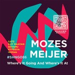 cover: Mozes Meijer - Where's It Going And Where's It At