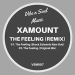 cover: Xamount - The Feeling