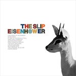 cover: The Slip - Eisenhower