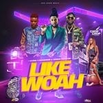 cover: Hydal|Kemar Highcon And Konshens - Like Woah