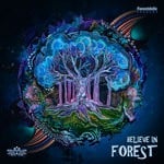 cover: Various - Believe In Forest