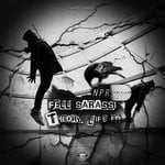 cover: Fell Sarassi - Theory Life EP