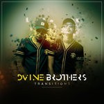 cover: Dvine Brothers - Transitions