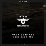 cover: Joey Domingo - You Got Me