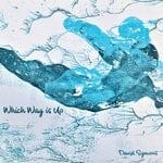 cover: David Symons - Which Way Is Up