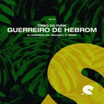 cover: Tribo Do Funk - Guerreiro De Hebrom (DJ Emerson MK & MIchaell D. Remix)