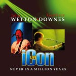 cover: Icon - Never In A Million Years (Live) (2019 Remaster)