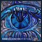 cover: R I T U A L|R3hab - Hallucinations