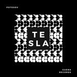 cover: Potesov - Tesla