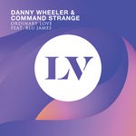 cover: Blu James|Danny Wheeler & Command Strange - Ordinary Love