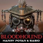 cover: Harry Potar & Sasio - BloodHound