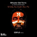 cover: Sidney Washington|Wheeler Del Torro - If Only You Could See Me