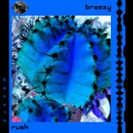 cover: Breezy - Rush