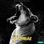 cover: John Toso - Zimbae: Tribal Ambient House Vol 1