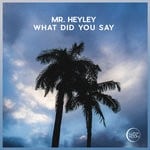 cover: Mr Heyley - What Did You Say