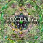 cover: Cylon|Funky Gong|Tsuyoshi Suzuki - Buddha Eye