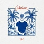 cover: Rnk - Caladium