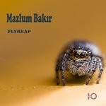 cover: Mazlum Bakir - Flyreap