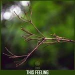 cover: Zuka - This Feeling