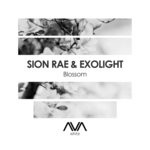 cover: Exolight|Sion Rae - Blossom (Extended Mix)