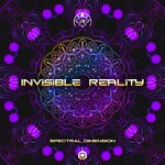 cover: Invisible Reality - Spectral Dimension