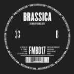 cover: Brassica - Crystal Sea